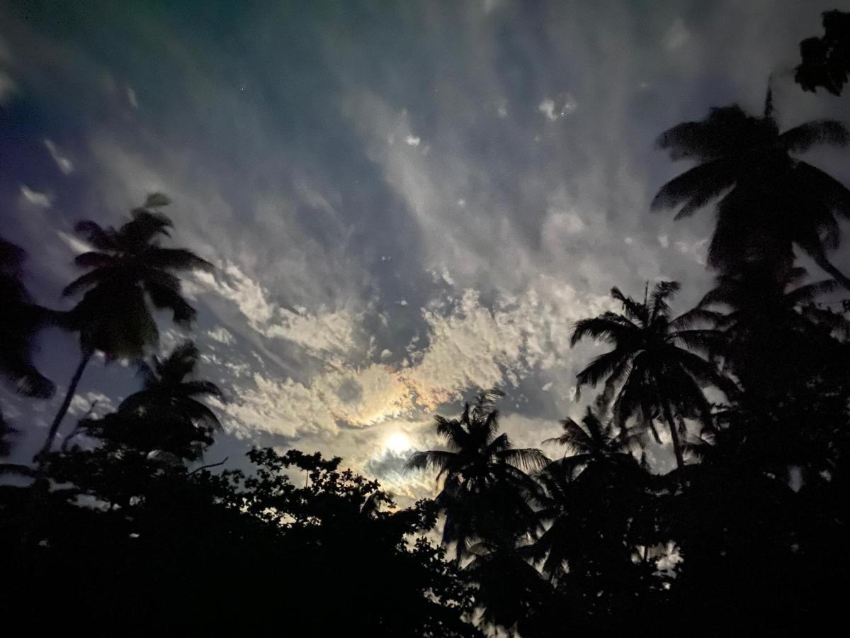 Oasis Village Fenfushi, Maldives Bagian luar foto