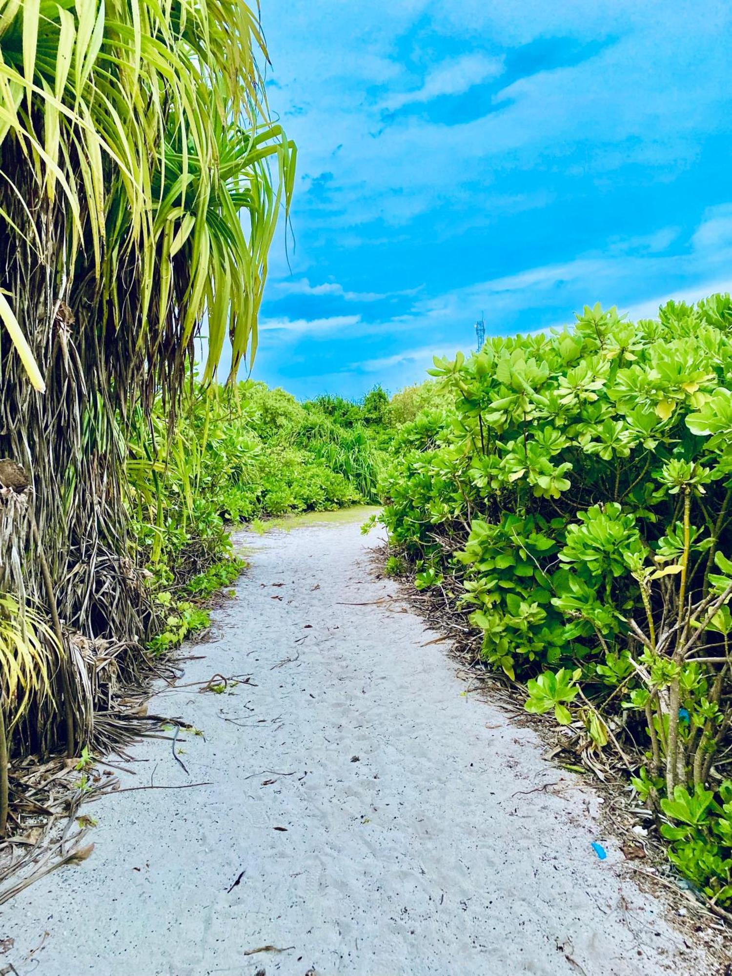 Oasis Village Fenfushi, Maldives Bagian luar foto